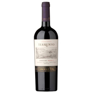 Concha y Toro Terrunyo Carmenere