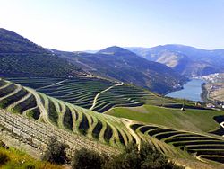 Vale Douro Patrimonio da Humanidade Unesco