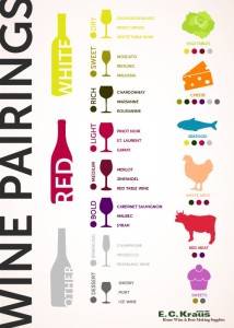 Infografico harmonizacao de vinho e comida