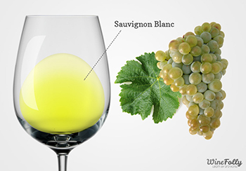 Taça e cacho sauvignon blanc wine folly