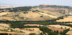 Vinho Chianti paisagem