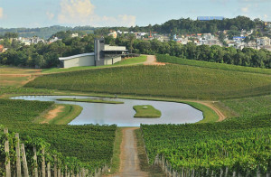 Luiz Argenta Vinhedo, sede e lago