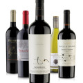 Vinho Santa Helena - Diversas Linhas