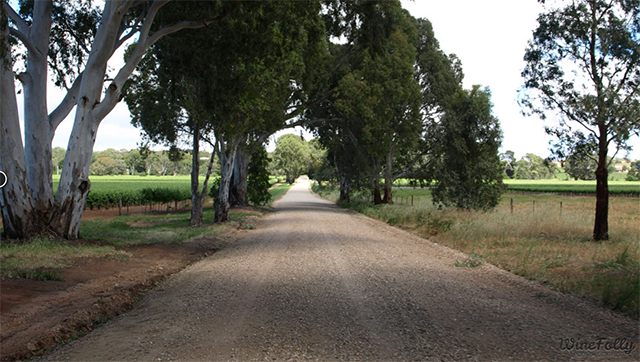 Vinho Australiano - Barossa Valley