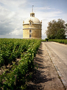 Vinho Bordeaux - Château La Tour (Pauillac)
