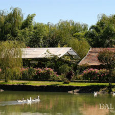 Dal Pizzol lago