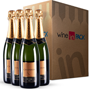Wine in Pack Chandon Brut