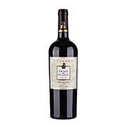 Vinho Carmenere Torreon-de-Paredes-Reserva