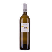 vinho-sauvignon-blanc-terreo-sauv-blanc