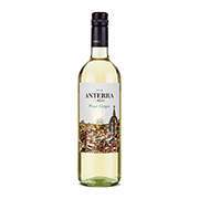 vinho-pinot-grigio-anterra