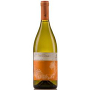melhores-vinhos-brasileiros-2016-casa-venturini-chardonnay