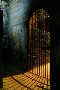 Casillero Del Diablo Adega